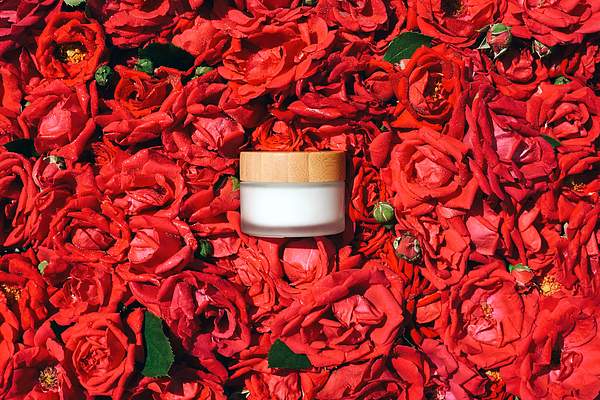 Rose Water Skincare on a Budget: Best Product Picks and Prices